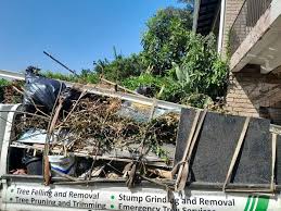 Professional Junk Removal in Martindale, TX